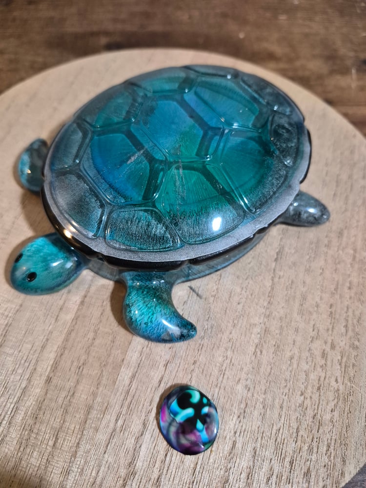 Ocean Petri Turtle Trjnket Jar